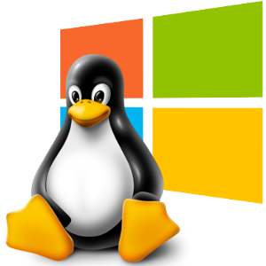 Linux Hosting or Windows Hosting?